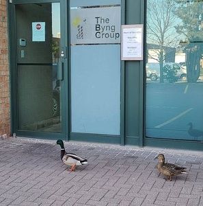 Meet your Posher, Badda